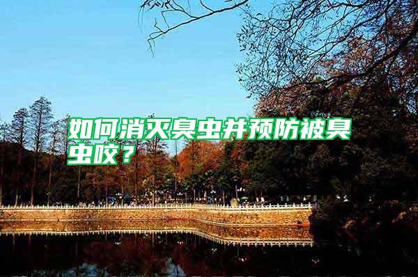 如何消滅臭蟲并預防被臭蟲咬？