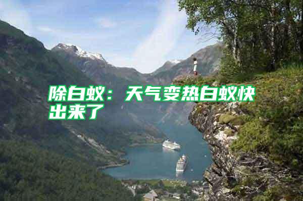 除白蟻：天氣變熱白蟻快出來了