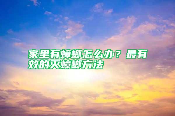 家里有蟑螂怎么辦？最有效的滅蟑螂方法