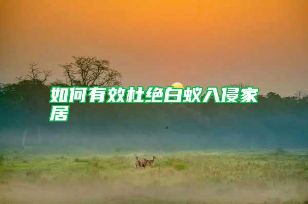 如何有效杜絕白蟻入侵家居