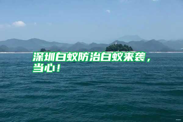 深圳白蟻防治白蟻來(lái)襲，當(dāng)心！