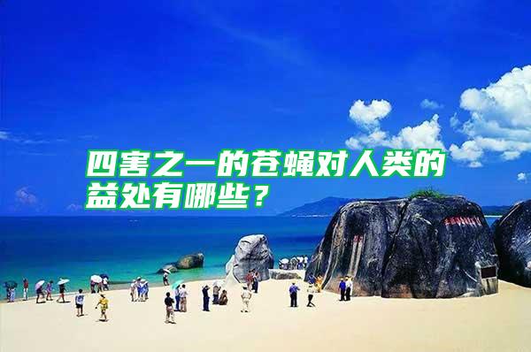 四害之一的蒼蠅對人類的益處有哪些？