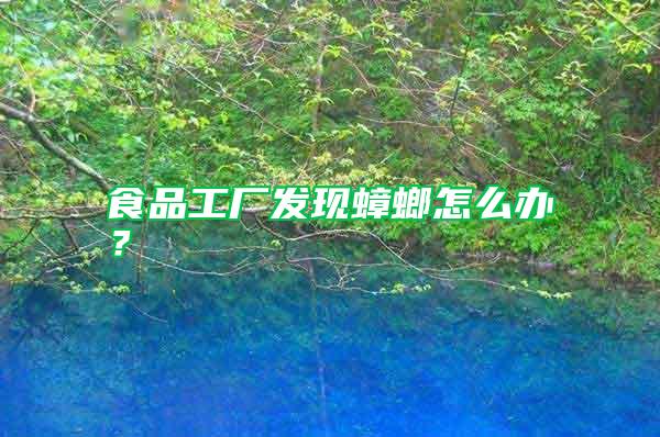 食品工廠發(fā)現(xiàn)蟑螂怎么辦？