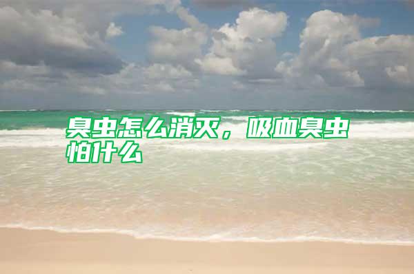 臭蟲(chóng)怎么消滅，吸血臭蟲(chóng)怕什么