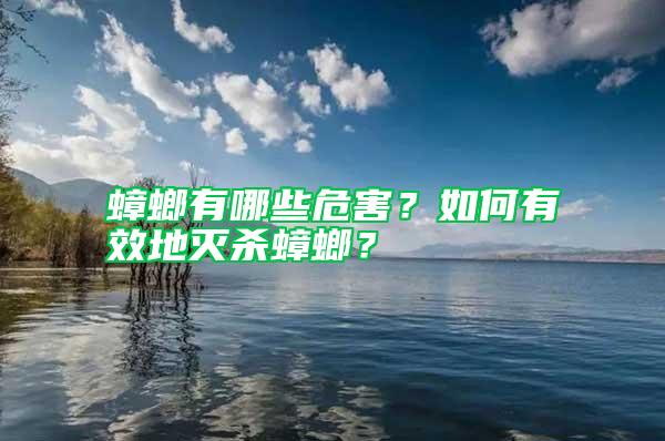蟑螂有哪些危害？如何有效地滅殺蟑螂？