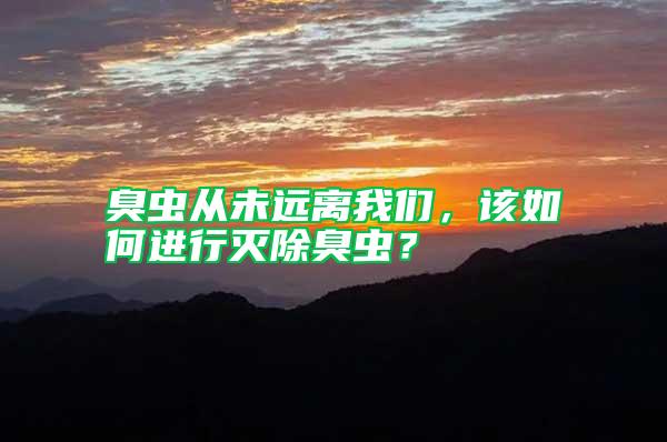 臭蟲從未遠(yuǎn)離我們，該如何進(jìn)行滅除臭蟲？