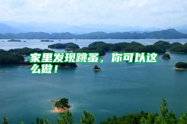 家里發現跳蚤，你可以這么做！