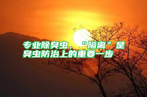專業(yè)除臭蟲(chóng)，“隔離”是臭蟲(chóng)防治上的重要一步