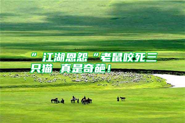 ”江湖恩怨“老鼠咬死三只貓 真是奇葩！