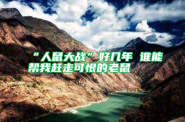 “人鼠大戰”好幾年 誰能幫我趕走可恨的老鼠