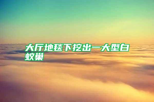 大廳地毯下挖出一大型白蟻巢