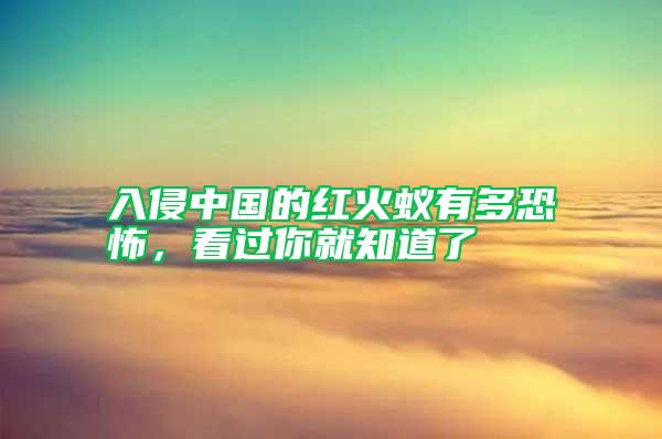 入侵中國(guó)的紅火蟻有多恐怖，看過(guò)你就知道了