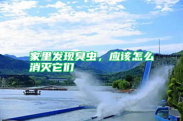 家里發現臭蟲，應該怎么消滅它們