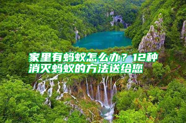 家里有螞蟻怎么辦？12種消滅螞蟻的方法送給您