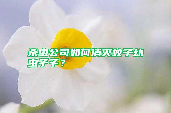 殺蟲公司如何消滅蚊子幼蟲孑孓？
