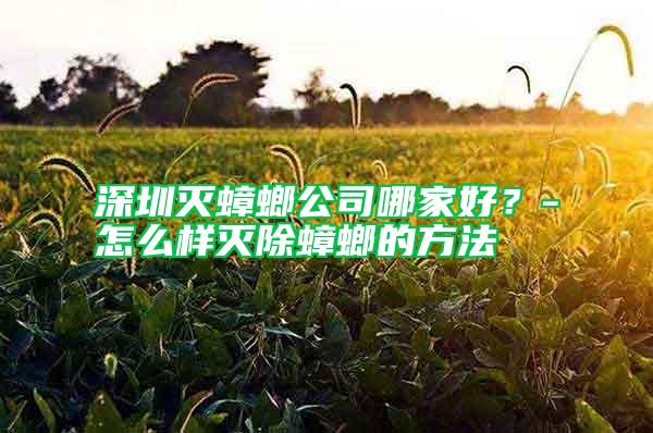 深圳滅蟑螂公司哪家好？-怎么樣滅除蟑螂的方法