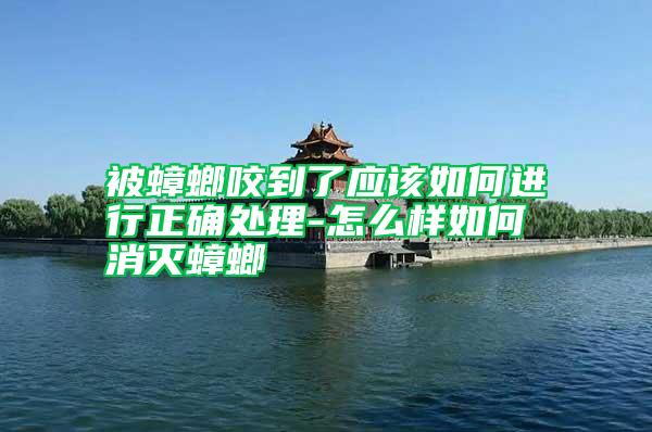 被蟑螂咬到了應(yīng)該如何進行正確處理-怎么樣如何消滅蟑螂