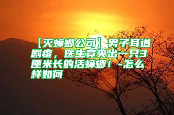 【滅蟑螂公司】男子耳道劇疼，醫生竟夾出一只3厘米長的活蟑螂！-怎么樣如何