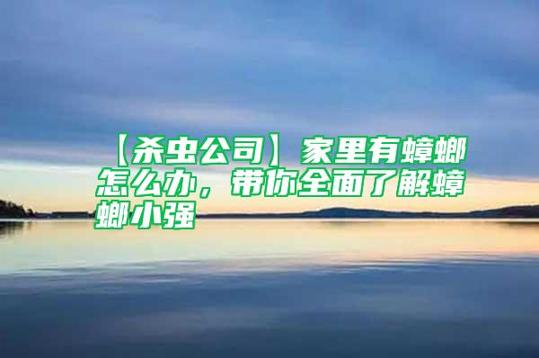 【殺蟲公司】家里有蟑螂怎么辦，帶你全面了解蟑螂小強(qiáng)