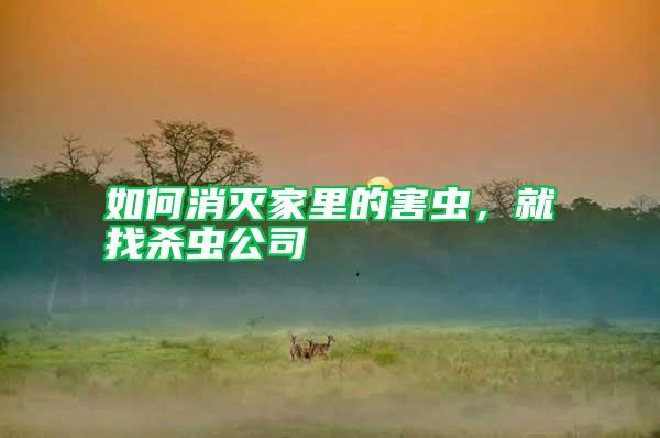 如何消滅家里的害蟲，就找殺蟲公司