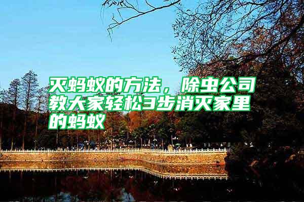 滅螞蟻的方法，除蟲公司教大家輕松3步消滅家里的螞蟻