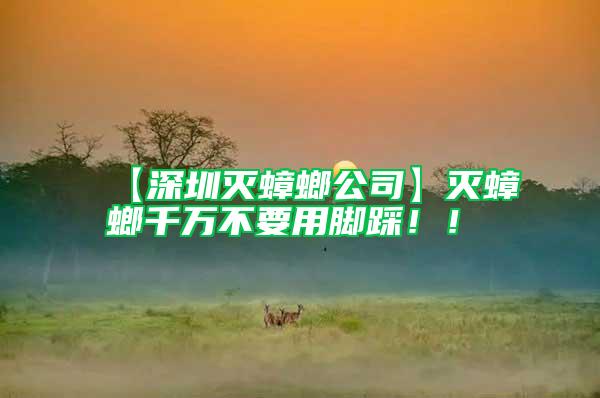 【深圳滅蟑螂公司】滅蟑螂千萬不要用腳踩??！