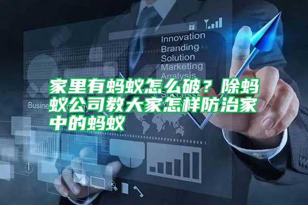 家里有螞蟻怎么破？除螞蟻公司教大家怎樣防治家中的螞蟻