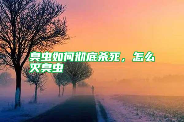 臭蟲如何徹底殺死，怎么滅臭蟲