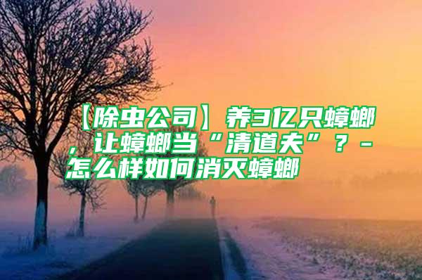 【除蟲公司】養3億只蟑螂，讓蟑螂當“清道夫”？-怎么樣如何消滅蟑螂