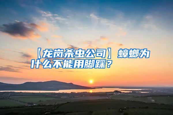 【龍崗殺蟲公司】蟑螂為什么不能用腳踩？