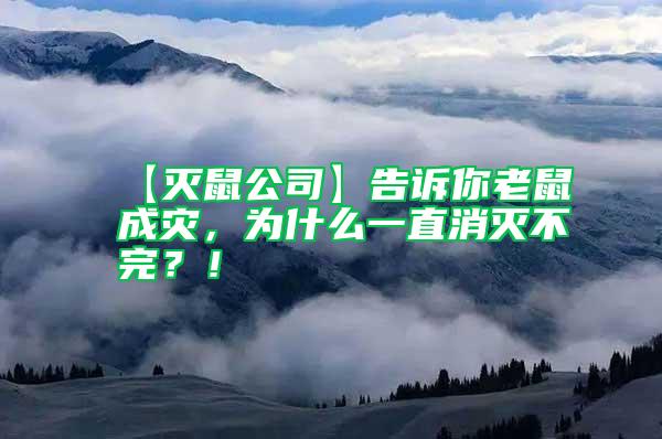 【滅鼠公司】告訴你老鼠成災，為什么一直消滅不完？！