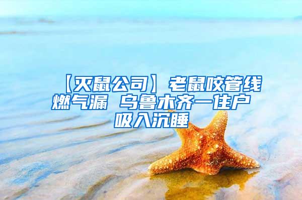 【滅鼠公司】老鼠咬管線燃氣漏 烏魯木齊一住戶吸入沉睡