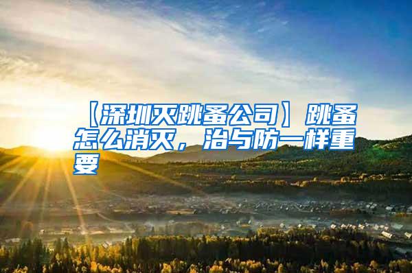 【深圳滅跳蚤公司】跳蚤怎么消滅，治與防一樣重要
