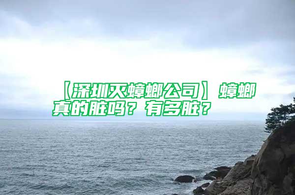【深圳滅蟑螂公司】蟑螂真的臟嗎？有多臟？