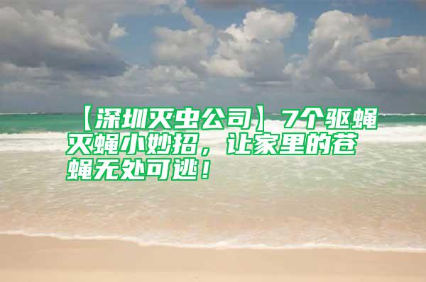 【深圳滅蟲公司】7個驅蠅滅蠅小妙招，讓家里的蒼蠅無處可逃！