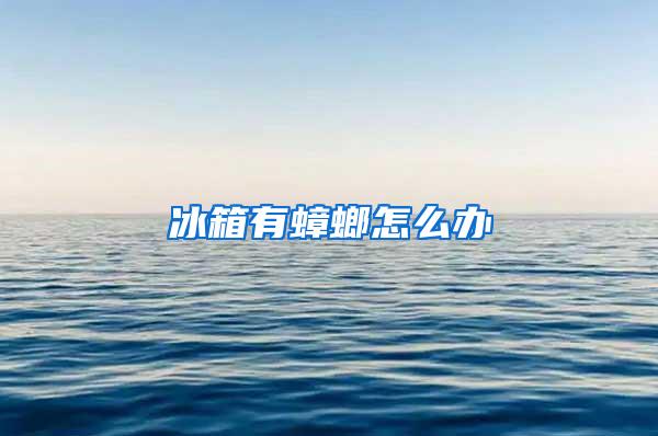 冰箱有蟑螂怎么辦