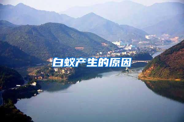 白蟻產生的原因