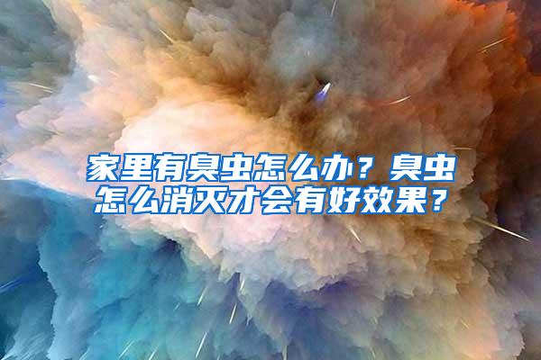 家里有臭蟲怎么辦？臭蟲怎么消滅才會有好效果？