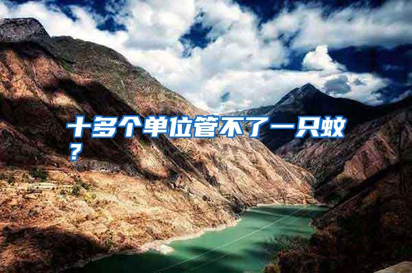 十多個(gè)單位管不了一只蚊？