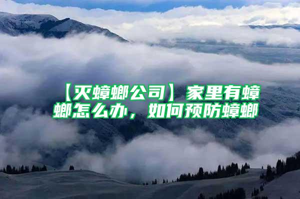 【滅蟑螂公司】家里有蟑螂怎么辦，如何預防蟑螂
