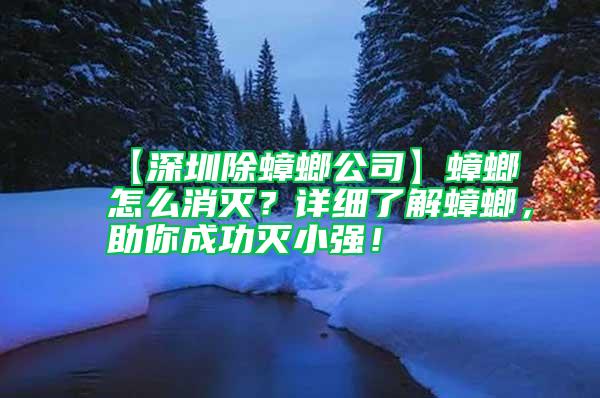 【深圳除蟑螂公司】蟑螂怎么消滅？詳細了解蟑螂，助你成功滅小強！