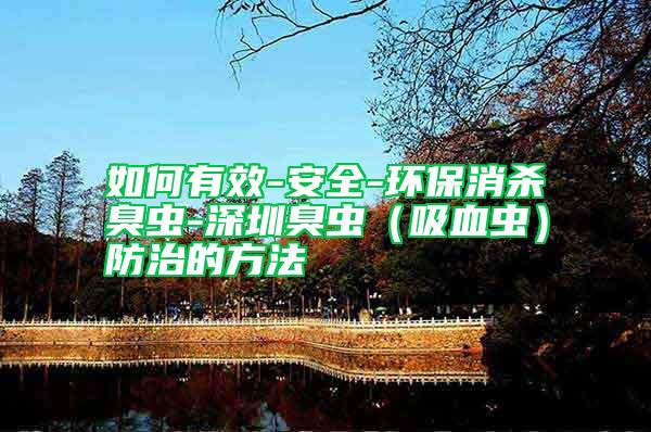 如何有效-安全-環(huán)保消殺臭蟲(chóng)-深圳臭蟲(chóng)（吸血蟲(chóng)）防治的方法