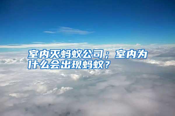室內滅螞蟻公司；室內為什么會出現螞蟻？
