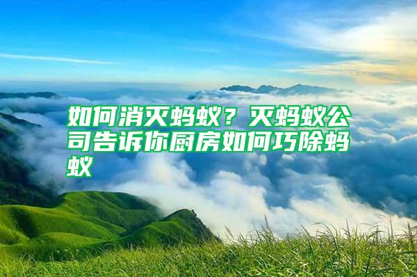 如何消滅螞蟻？滅螞蟻公司告訴你廚房如何巧除螞蟻