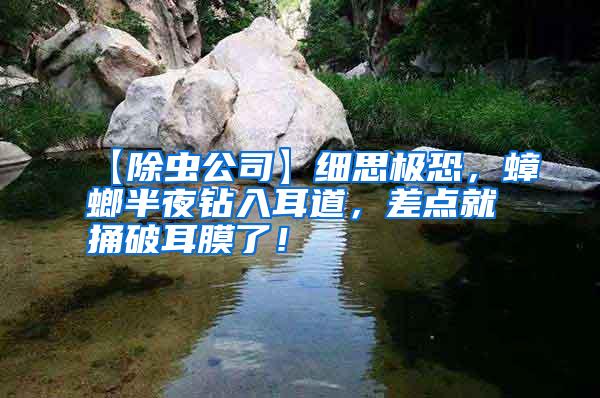【除蟲(chóng)公司】細(xì)思極恐，蟑螂半夜鉆入耳道，差點(diǎn)就捅破耳膜了！