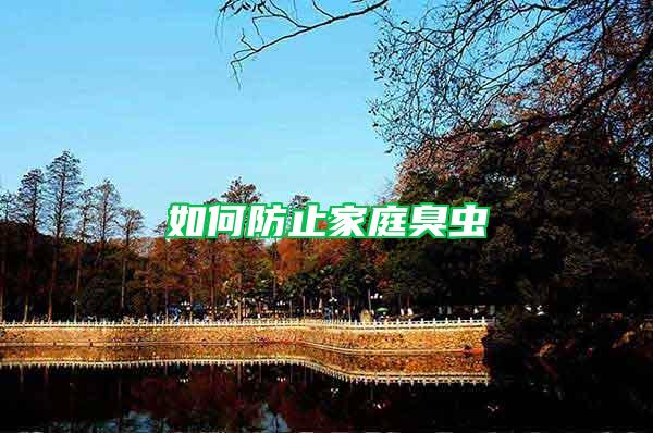 如何防止家庭臭蟲