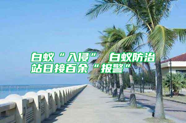 白蟻“入侵” 白蟻防治站日接百余“報(bào)警”