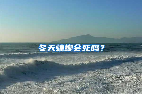 冬天蟑螂會死嗎？