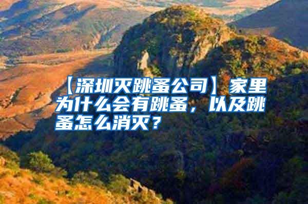【深圳滅跳蚤公司】家里為什么會有跳蚤，以及跳蚤怎么消滅？