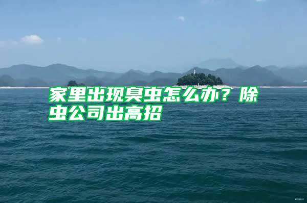 家里出現(xiàn)臭蟲怎么辦？除蟲公司出高招